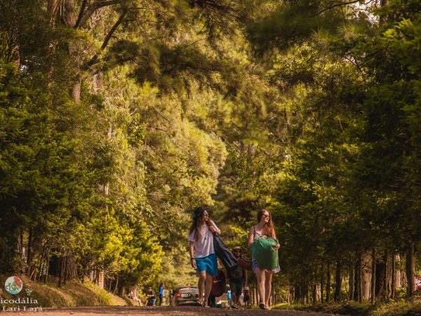 Psicodália 2017: passe o próximo carnaval em um festival multicultural!