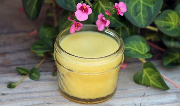 Aprenda como fazer uma pomada antiséptica com tanchagem