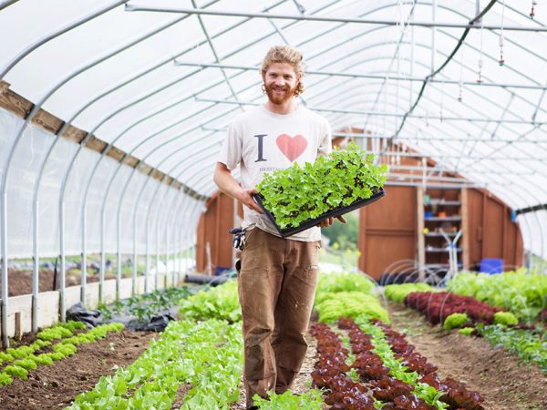 Seja um Especialista do Bem