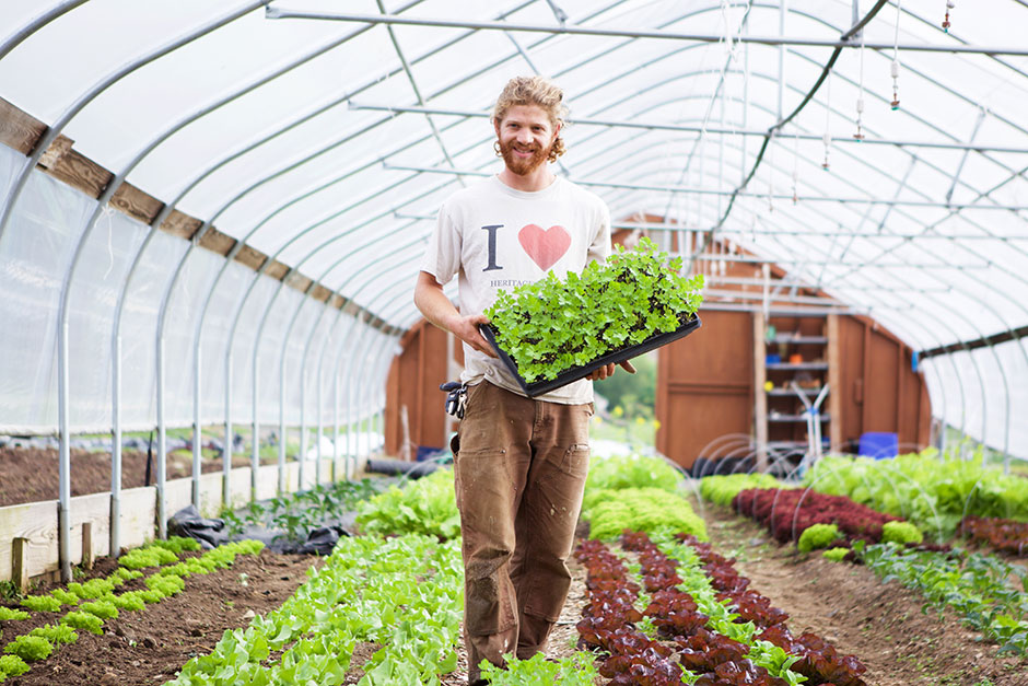 Seja um Especialista do Bem