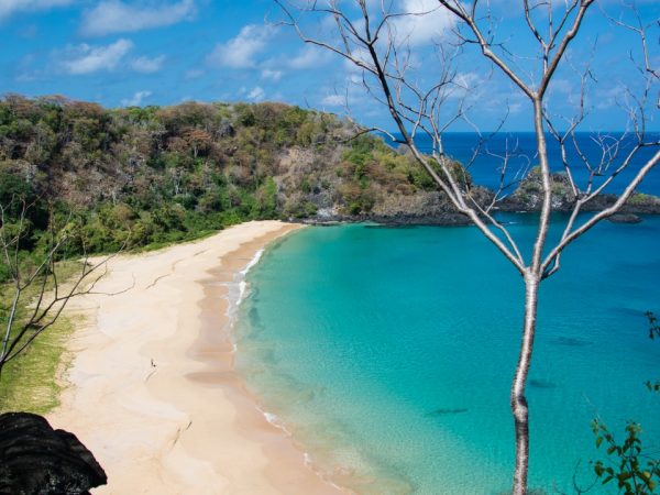 Primavera em um paraíso chamado Fernando de Noronha