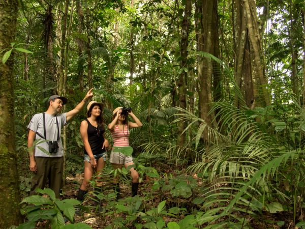Você conhece o Passaporte Verde?