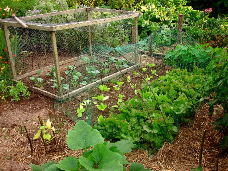 886260197_3e84488527_o 1