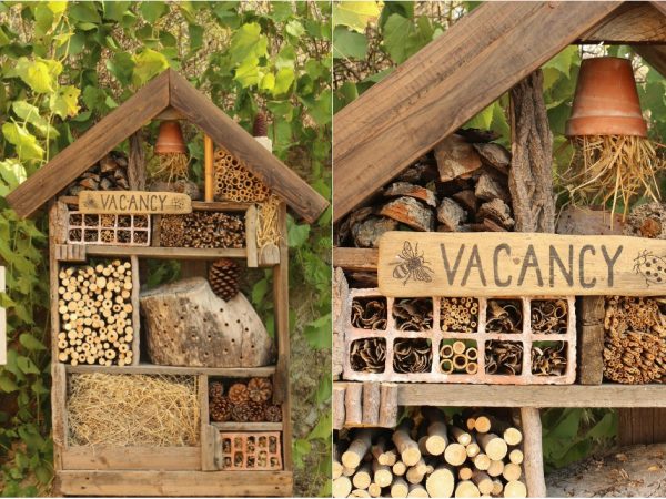 Aprenda a Construir um Hotel para Insetos