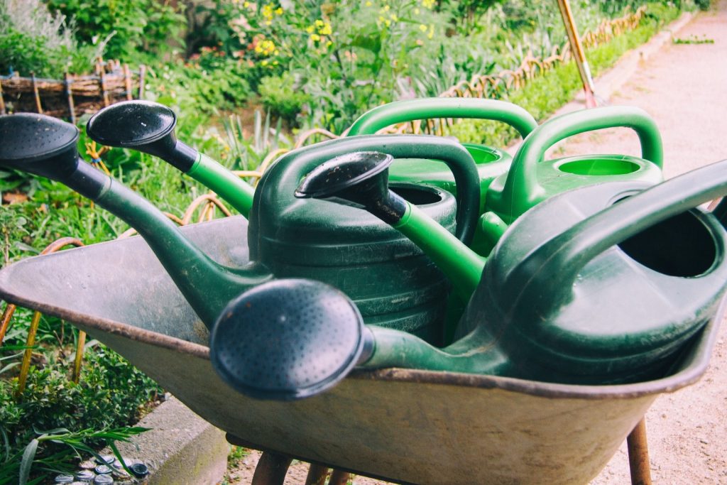 green-watering-cans