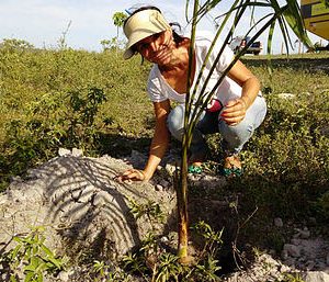 instituto-canto-vivo-9364