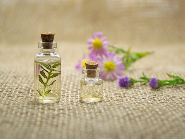 Todo o poder das plantas dentro de um vidrinho: Aromaterapia