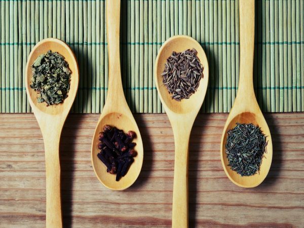 Alternativas para uma cozinha mais verde (parte 3)