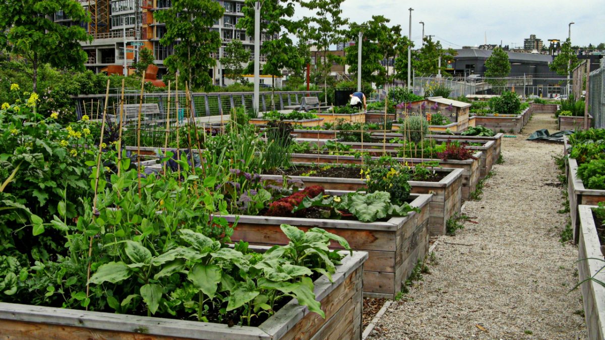 Tumblr_m55n38ca6f1qbazqao1_1280