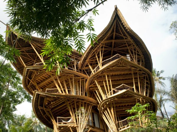 Construção Natural: O Bambu na Arquitetura