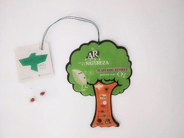 Instituto Canto Vivo distribui sementes para todo o Brasil no Dia da Árvore