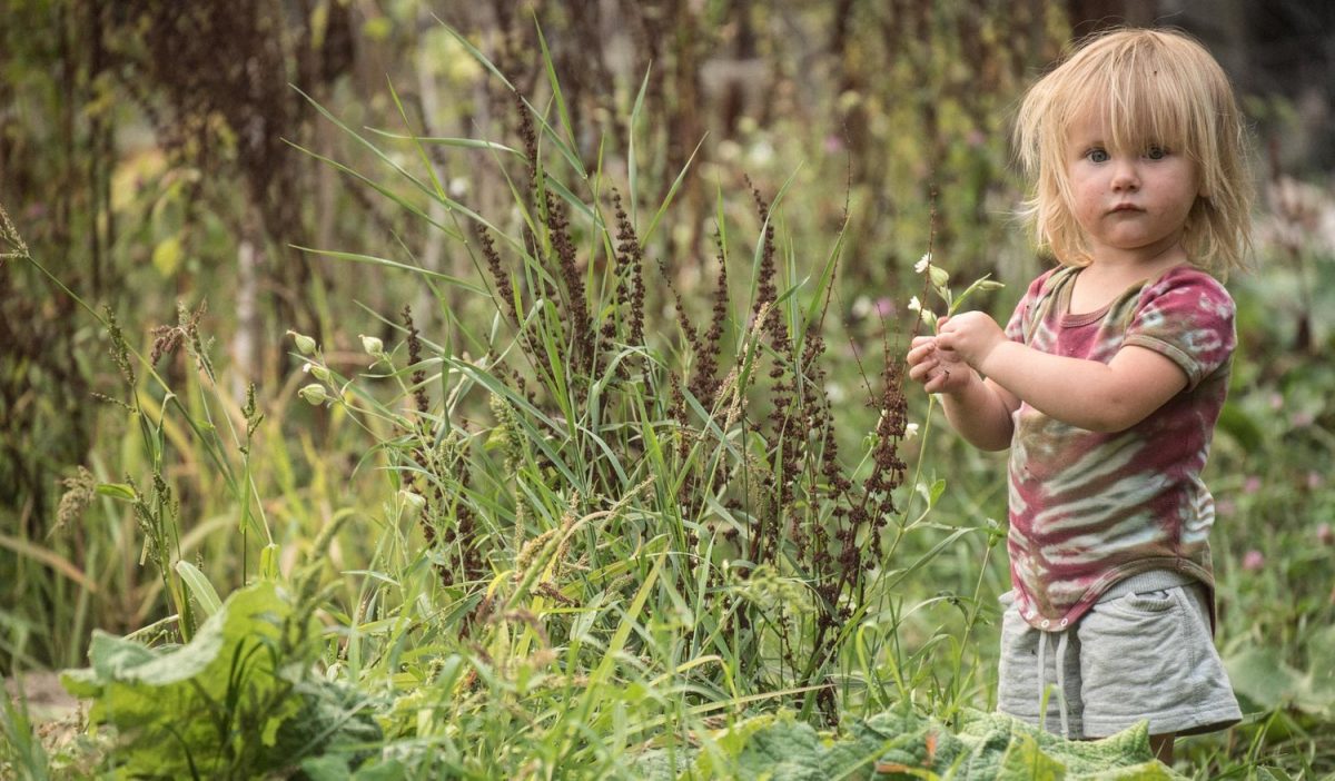Porque nossas crianças precisam brincar na natureza