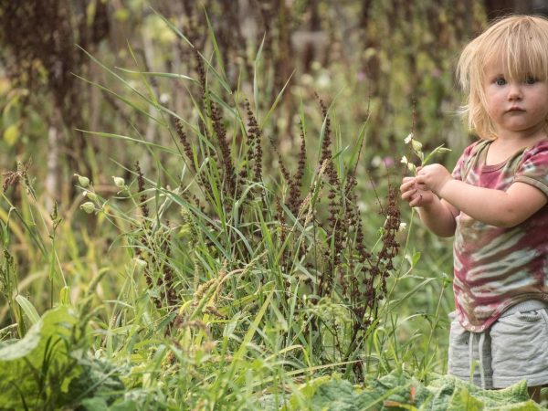 Porque nossas crianças precisam brincar na natureza