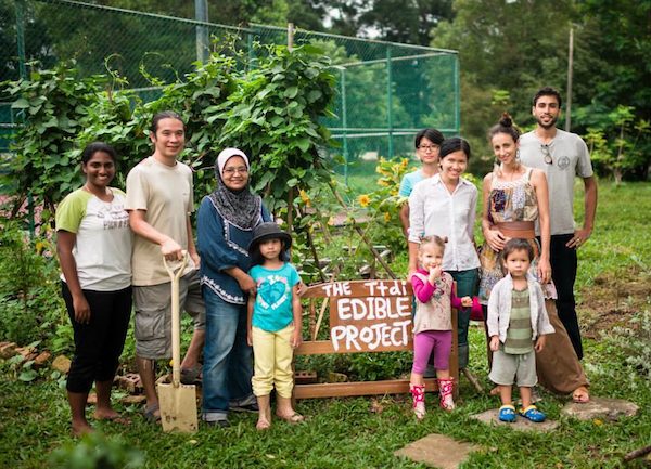 10 passos para começar uma horta comunitária