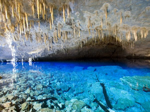 Um mergulho mágico em Bonito, Mato Grosso do Sul