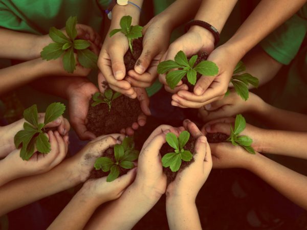 Sujar-se de terra: o mais moderno antidepressivo