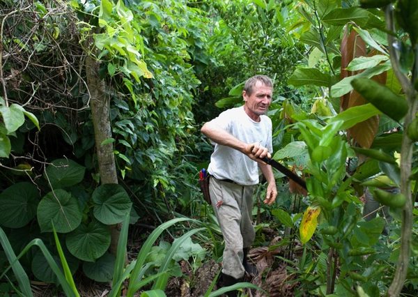 3 documentários com Ernst Götsch – o guru da agrofloresta