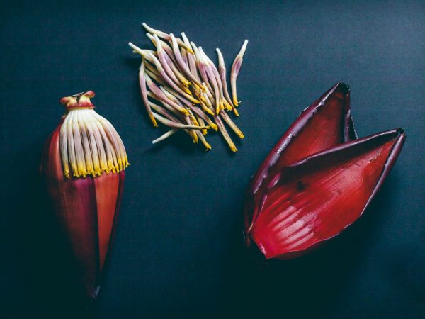 Coração de Bananeira: Aprenda a preparar