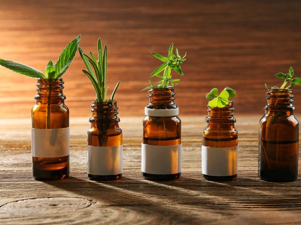 Ecovila em SP oferece oficina de fitoterapia