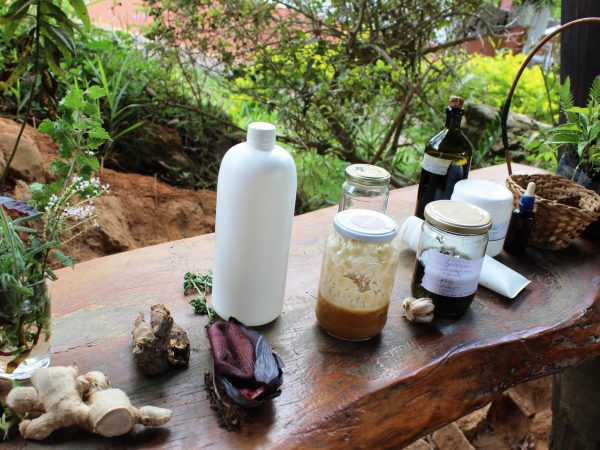 Oficina de Fitoterapia na Ecovila Clareando