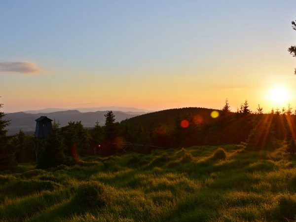 O mal da atualidade: A percepção das nossas reais necessidades