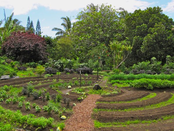 Permacultura em São Thomé das Letras-MG