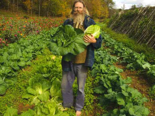 Agricultura Biodinâmica –  a forma holística de plantar