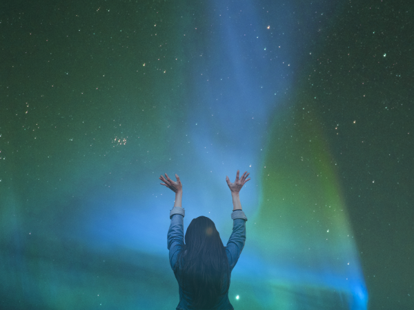 Despertar da Consciência : O segredo da felicidade plena