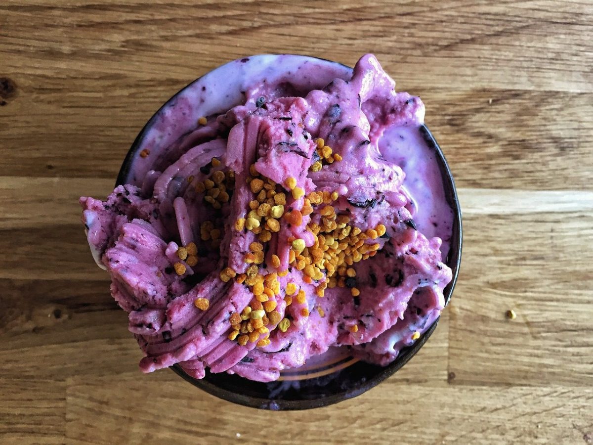 A aventura do sorvete: para veganos e curiosos