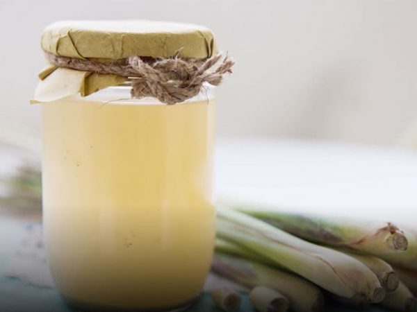 Aprenda como extrair o extrato de citronela passo a passo