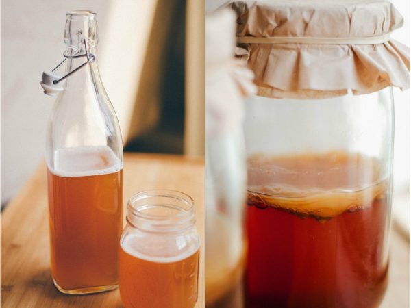 Kombucha: aprenda como preparar esse milenar probiótico