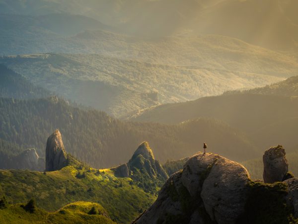 7 maneiras naturais de tratar a depressão e a ansiedade