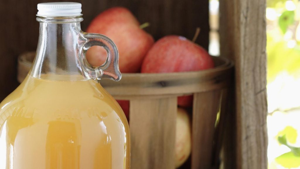 Good homemade apple cider recipe_112eaac454b531f9