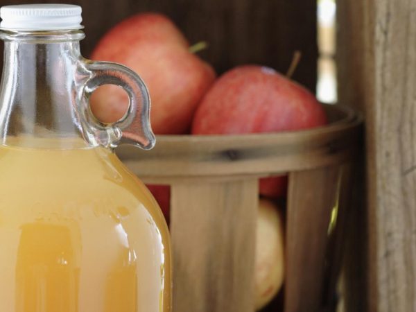 Aprenda a fazer sidra de maçã