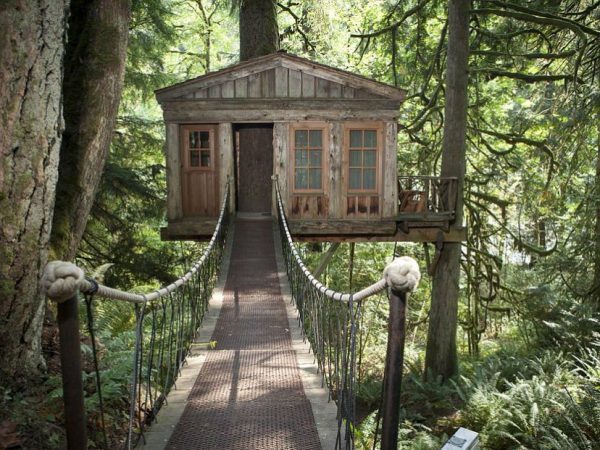 4 passos para uma vida analógica