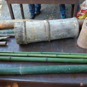 Bambus tratados de especies diferentes
