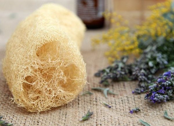 Sustentabilidade no dia a dia: usando bucha vegetal para lavar louças