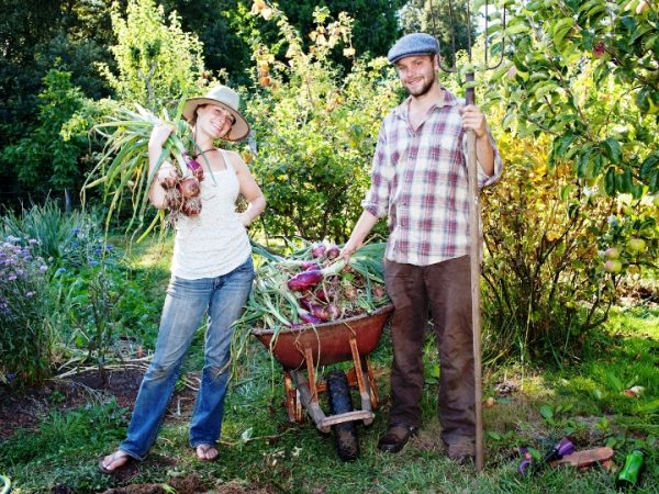 A verdade sobre a moda de viver no campo