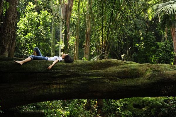 Meditação – Concentração para transformação!