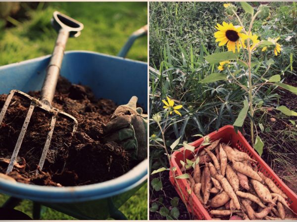 Em Florianópolis, permacultor faz do lixo orgânico um modelo de negócio