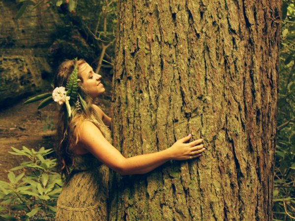 Como se Relacionar com uma Árvore?