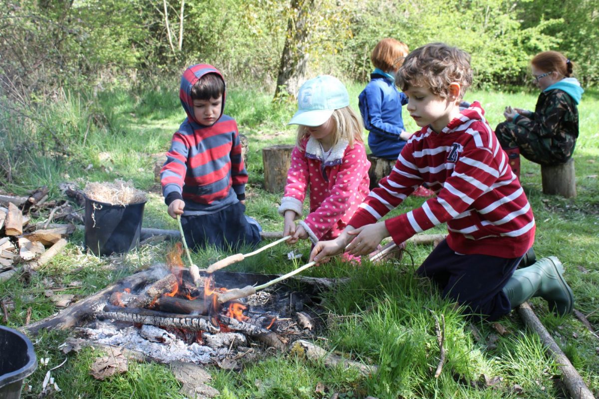 Incorporar a natureza na escola reduz o estresse das crianças e melhora o aprendizado