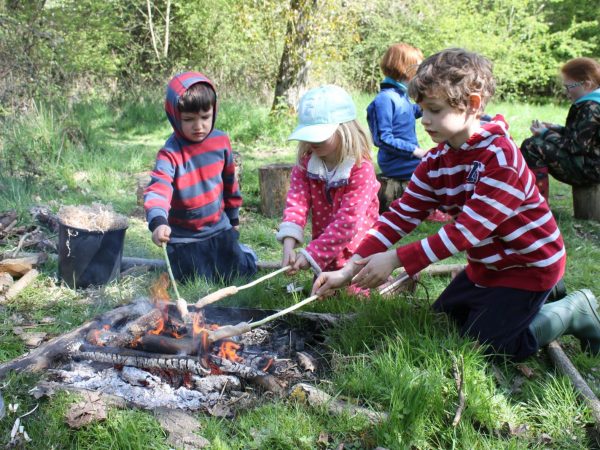 Incorporar a natureza na escola reduz o estresse das crianças e melhora o aprendizado