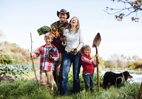 5 pontos a se considerar quando pensar em morar no campo
