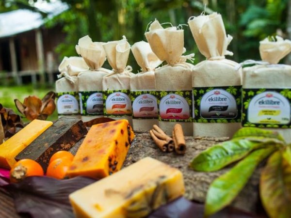 Conheça a Ekilibre Amazônia- Cosmética Viva