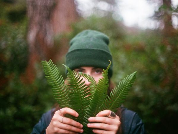 Ecopsicologia: reconexão com a natureza de dentro e de fora