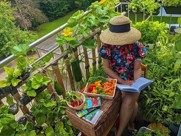 Estudo mostra como viver sem (tanto) supermercado
