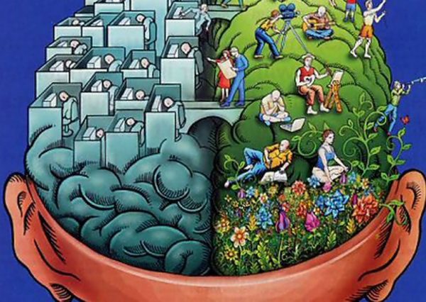 Qual o Principal Cuidado que o seu Jardim Interior Precisa Neste Momento?