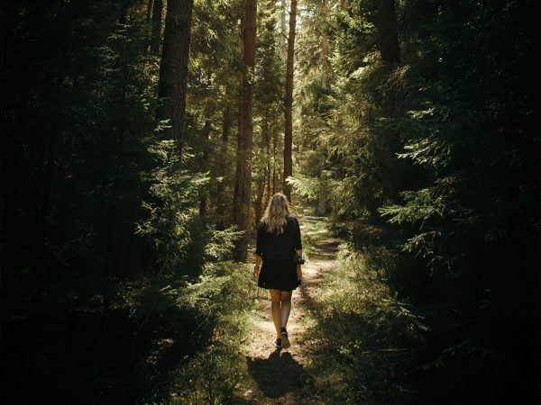 7 dicas pra se desconectar e aproveitar os benefícios do “banho de floresta”