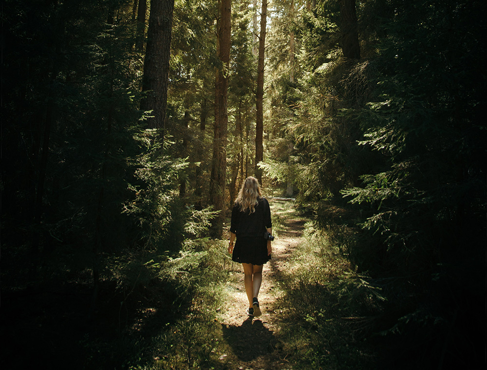 7 dicas pra se desconectar e aproveitar os benefícios do “banho de floresta”